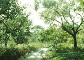 Holey Plains State Park - Tourism Gold Coast 0