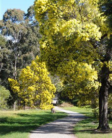 Surrey Hills VIC Tourism Gold Coast
