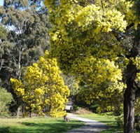 Wattle Park - Tourism Gold Coast