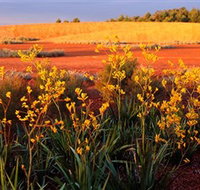 Royal Botanic Gardens Victoria Cranbourne - Gold Coast