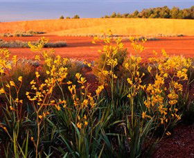 Royal Botanic Gardens Victoria Cranbourne - Gold Coast 0
