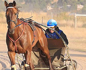 Ballarat & District Trotting Club - Tourism Gold Coast 0
