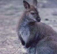 Churchill National Park - Tourism Gold Coast