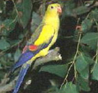 Lake Hindmarsh Reserve - Tourism Gold Coast