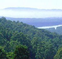 Kalorama Park - Tourism Gold Coast
