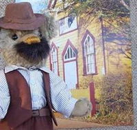 Stanley Bears - Tourism Gold Coast