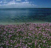 The Lakes National Park - Tourism Gold Coast