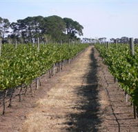 Mount Beckworth Wines - Tourism Gold Coast