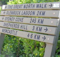 Great North Walk - Tourism Gold Coast