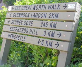 Great North Walk - Tourism Gold Coast 0