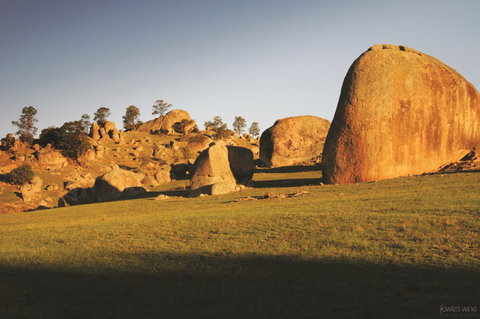 Fowles Wine - Tourism Gold Coast 3
