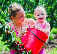 Cherryhill Orchards - Tourism Gold Coast