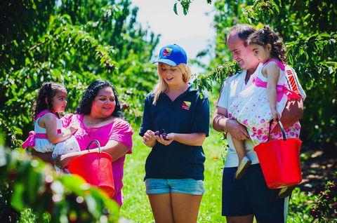 Cherryhill Orchards - Tourism Gold Coast 1