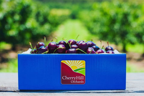 Cherryhill Orchards - Tourism Gold Coast 8