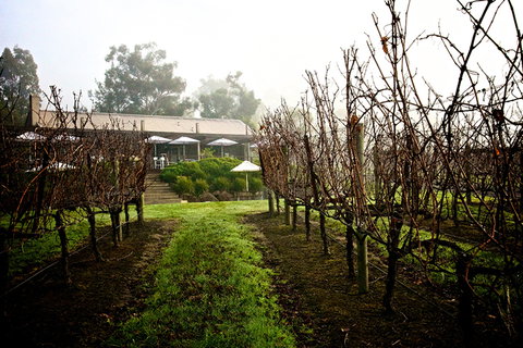 GREENSTONE VINEYARDS - Gold Coast 4