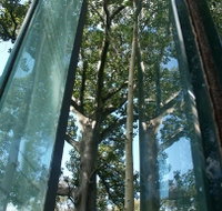 Sydney Sculpture Walk - Tourism Gold Coast
