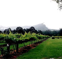 Cambewarra Estate Wines - Tourism Gold Coast