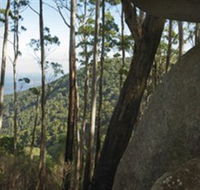Gulaga National Park - Tourism Gold Coast