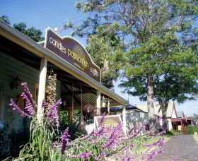 Central Tilba NSW Tourism Gold Coast