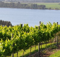 Two Figs Winery - Tourism Gold Coast