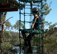 Trees Adventure Shoalhaven - Tourism Gold Coast