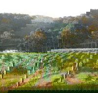 Tilba Valley Wines - Tourism Gold Coast