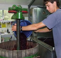 Fern Gully Winery - Tourism Gold Coast