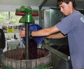 Fern Gully Winery - Tourism Gold Coast 0