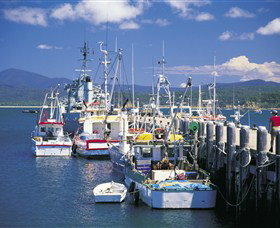 Snug Cove - Tourism Gold Coast 0
