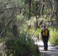 Barren Grounds Nature Reserve - Tourism Gold Coast