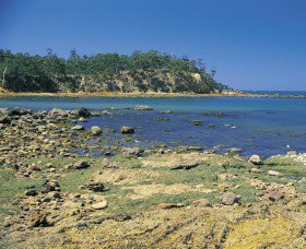 Aslings Beach - Tourism Gold Coast 0