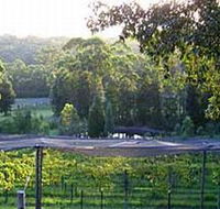 Lyrebird Ridge Organic Winery - Gold Coast