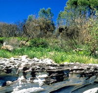 Abrahams Bosom Reserve - Tourism Gold Coast