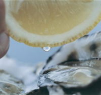 Pearly Oyster Bar and Farm - Gold Coast