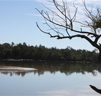 North Coast Holiday Parks Boambee Creek Reserve - Tourism Gold Coast