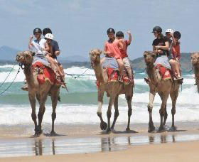 Camel Rides With Coffs Coast Camels - Tourism Gold Coast 0