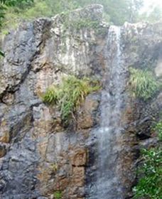 Wedding Bells Forest Drive - Gold Coast 0