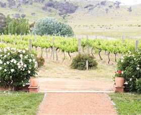 Brindabella Hills Winery - Tourism Gold Coast 0