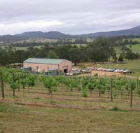 Villa d Esta Vineyard - Gold Coast
