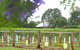 Douglas Vale Historic Homestead & Vineyard - thumb 0