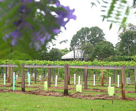 Douglas Vale Historic Homestead & Vineyard - Tourism Gold Coast 0