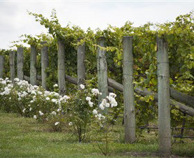 Lambert Vineyards Cellar Door - Tourism Gold Coast 2