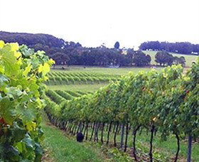 Exeter NSW Tourism Gold Coast