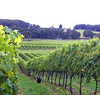 Banjo's Run Winery and Vineyard - Tourism Gold Coast