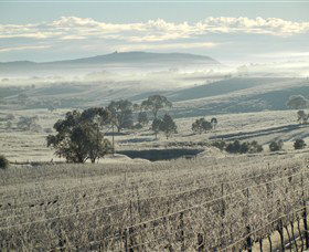 Kurrajong Downs Wines Vineyard - Gold Coast 1