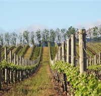 Philip Shaw Wines - Gold Coast