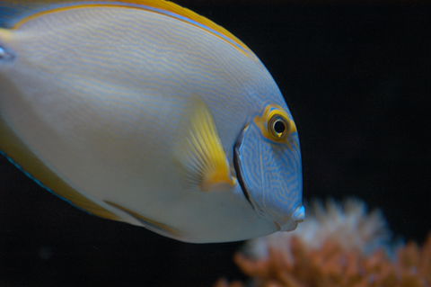 Solitary Islands Aquarium - Gold Coast 3