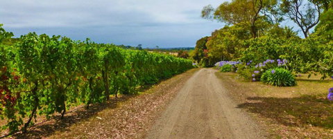 Merricks Estate - Gold Coast 1