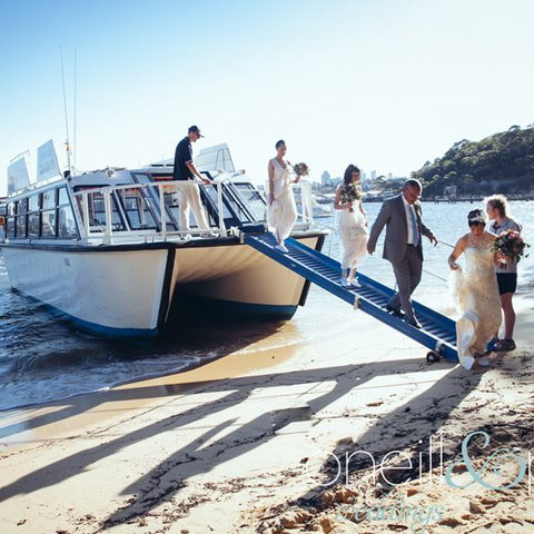 H2O Maxi Taxis - Tourism Gold Coast 3