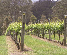 Diamond Creek Estate Cellar Door - Tourism Gold Coast 2
